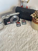 Camera, case, two SD cards displayed