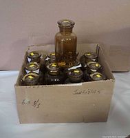 Full view of cardboard case holding twelve amber glass vases with lids