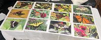 All 12 laminated butterfly prints laid out on table
