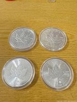 All four Maple Leaf coins in capsules, obverse and reverse visible