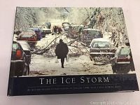 Front cover of the book titled 'The Ice Storm' showing a winter scene with icy fallen branches on cars and a person walking down the street.