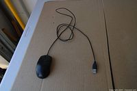 Full view of black wired USB mouse showing cable and connector