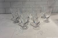 Full group of 12 etched stemmed goblets on counter