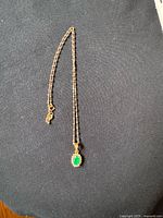 Full view of necklace laid out showing chain and pendant