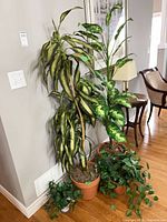 Group of three larger faux plants and one trailing ivy showing pot types and heights