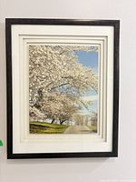 Front view of framed photograph showing entire image and frame