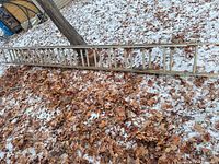 Full length view of wooden extension ladder on ground