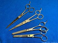 Four pairs of hair cutting shears on blue background