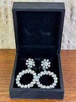 Open display box showing both earrings upright