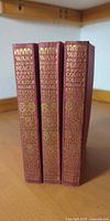 Spine view of all three maroon cloth volumes with gilt decoration