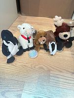 Five assorted Coca-Cola plush animals lined up on floor