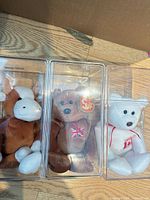 Three Ty Beanie Babies inside clear plastic display boxes