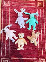 Group shot of five Ty plush toys on red rug