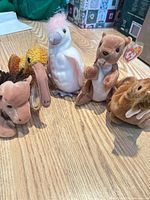 Group shot of all 5 Beanie Babies on tabletop