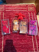All five TY Beanie Babies on red rug, four in cases, one loose