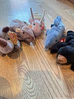 All five Ty Beanie Babies arranged on floor