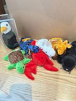 All seven Ty Beanie Babies grouped, eagle in case visible