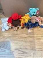 All seven Beanie Babies lined up in front of box