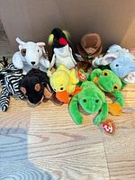 Group shot showing eight identifiable Ty Beanie Babies with hang tags