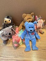 All six Beanie Babies grouped together