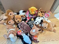 Group shot of all 14 Ty Beanie Babies plush animals