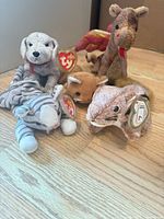 Group shot of all five Ty Beanie Babies on wood floor
