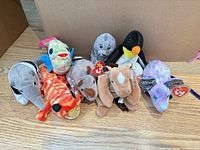 All eight Beanie Babies lined together on floor