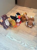 Group shot showing all five Ty Beanie Babies