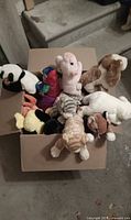 Box of assorted Ty Beanie Babies in cardboard box
