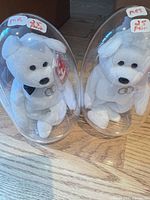 Front view of both bears in clear egg cases