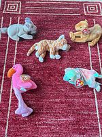 Group photo showing all five Ty Beanie Baby animals