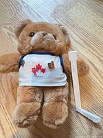 Front view of bear showing shirt, pins, and broken hockey stick