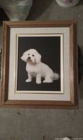 Front view of one framed dog portrait