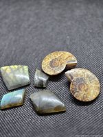 All six cabochons grouped on dark fabric background