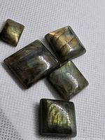 Five labradorite cabochons on white background, showing iridescence