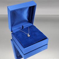Blue presentation box open displaying necklace
