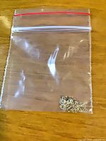 Chain in small zip bag