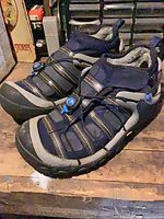 Shoes top and side view showing color, closure, upper condition