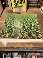 Poster folded on workbench showing overall image and bottom caption