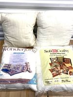 Four pillow forms including two packaged (Soft n Crafty 16x16, Wonderform 14x14) and two unwrapped inserts