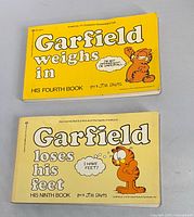Front covers of both Garfield books