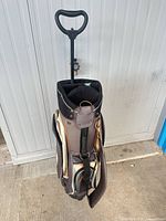 Full view of golf bag standing upright showing pull handle and overall condition
