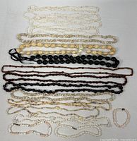 Full assortment of seed, shell and kukui nut necklaces laid out