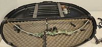 Compound bow in open hard case with arrows strapped in lid