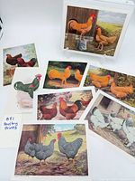 Group shot showing all eight poultry prints
