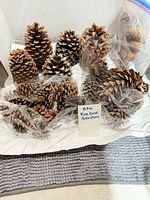 Overall view of assorted pine cones, some in plastic bags
