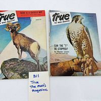 Both magazines laid flat, note cover art and condition