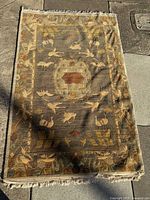 Full view of the rug showing design and fringe