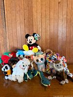 Group shot of all plush toys against wood backdrop