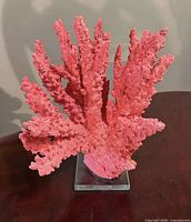 Front view of coral sculpture showing branching form and acrylic base